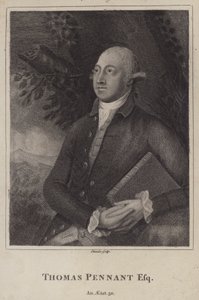Thomas Pennant, naturaliste et topographe gallois - English School