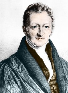 Thomas Robert Malthus (gravure en couleur) - English School