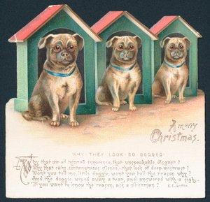 Trois chiens dans des niches - English School