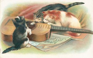 Trois chats jouant avec une guitare acoustique - English School