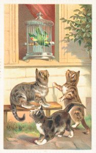 Trois chats assis sous une fenêtre - English School