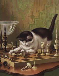Tib jouant aux échecs - English School