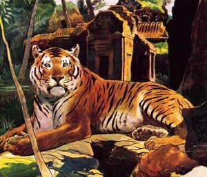 Tigre dans les ruines