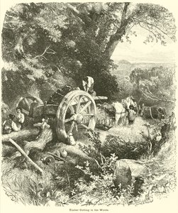Coupe de bois dans les bois - English School