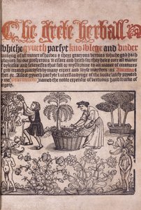 Page de titre illustrant une scène de jardin avec des personnages, 1529 - English School