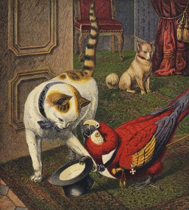 Tittums et Fido - English School
