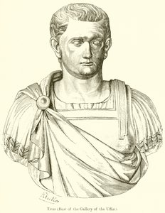Titus - English School