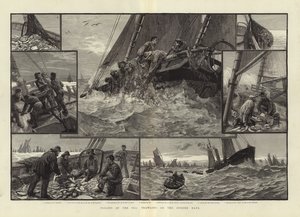 Travailleurs de la mer chalutant sur le Dogger Bank