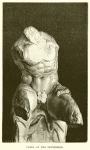 Torso du Belvédère