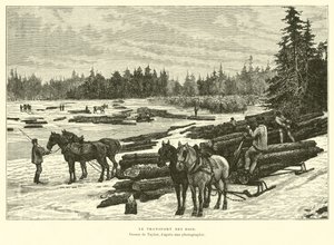 Transport de bois