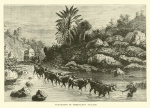 Voyage en Griqualand - English School