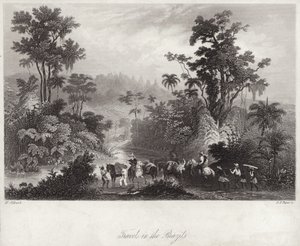 Voyages au Brésil - English School