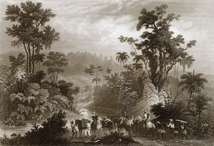 Voyages au Brésil - English School
