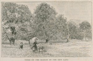 Arbres à la marge de la nouvelle terre