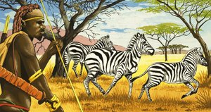 Tribal et zèbres