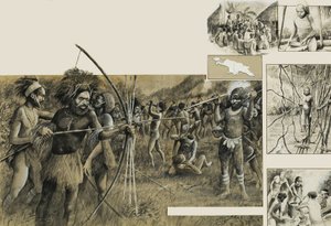 Tribus de Nouvelle-Guinée - English School