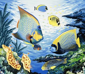 Poissons tropicaux