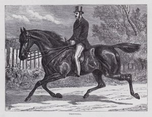 Trot (gravure) - English School