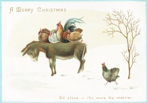 Dinde et poulet assis sur le dos d