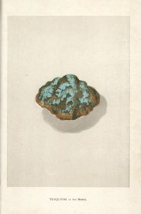 Turquoise dans la matrice, de "Precious Stones and Gems" d