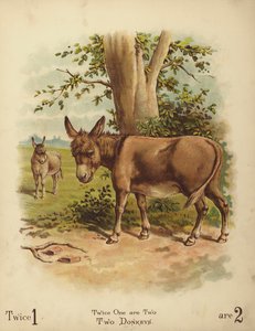 Deux ânes (chromolitho) - English School