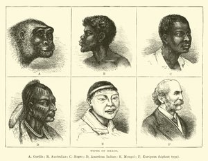 Types de têtes