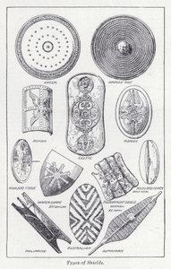 Types de boucliers - English School