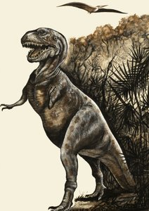 Tyrannosaurus Rex - English School