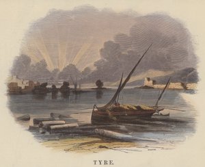Tyr - English School