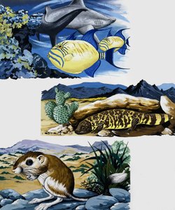 Créatures sous-marines et souris