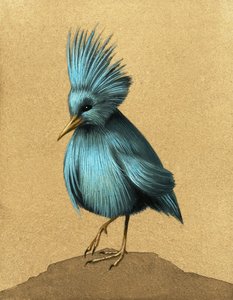Oiseau incapable de voler non identifié - English School