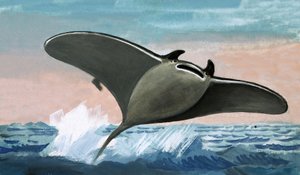Poisson volant non identifié