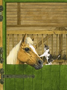 Cheval non identifié et chaton joueur - English School