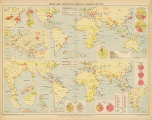 Produits végétaux, tabac, drogues et épices - English School