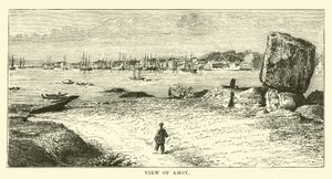 Vue d
