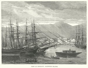 Vue d