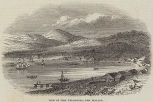 Vue de Port Wellington, Nouvelle-Zélande (gravure) - English School