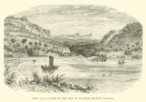 Vue d