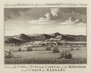 Vue de la ville de Tunis