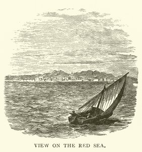 Vue sur la mer Rouge - English School