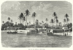 Vue sur les rives du Tigre (gravure) - English School
