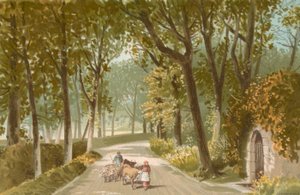 Vinchelez Lane--Jersey - English School