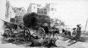 Wagons avec de l