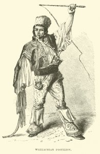 Postillon valaque - English School