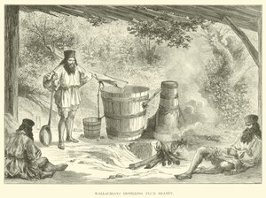 Valaques distillant de l