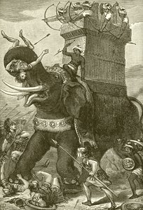 Éléphant de guerre dans l