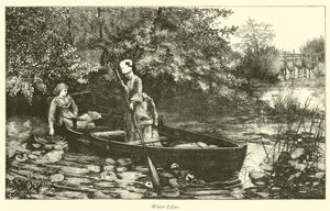 Nénuphars - English School