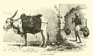 Porteurs d