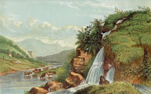 Cascade et bétail