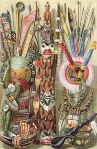 Armes, ustensiles et ornements des Indiens d